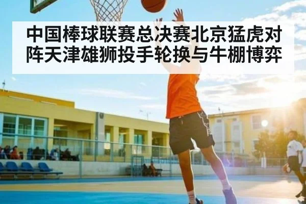 中国棒球联赛总决赛北京猛虎对阵天津雄狮投手轮换与牛棚博弈 | www.c7c7.app